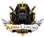 King Corso For Sale